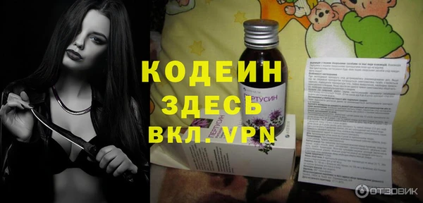 спайс Ельня