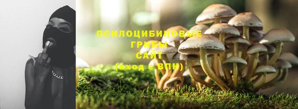 спайс Ельня