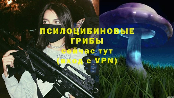 спайс Ельня