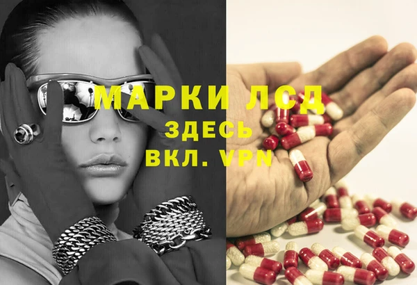 спайс Ельня
