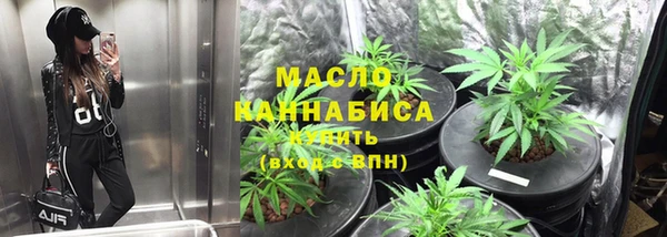спайс Ельня