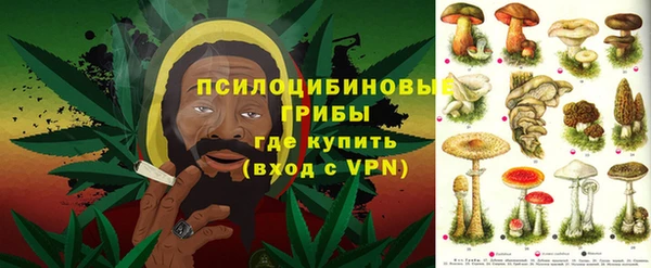 спайс Ельня