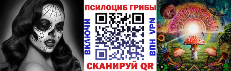 наркошоп  Муром  OMG ONION  Псилоцибиновые грибы Psilocybine cubensis 