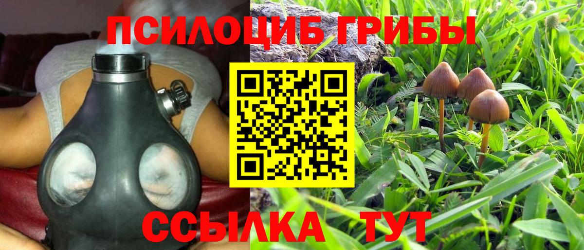 Псилоцибиновые грибы MAGIC MUSHROOMS Муром