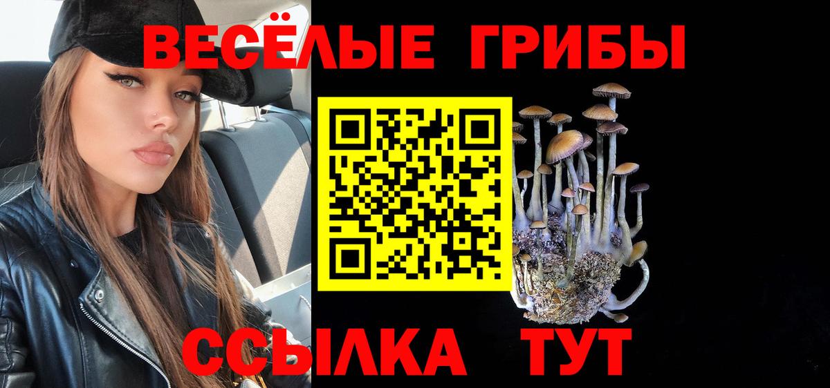 Галлюциногенные грибы прущие грибы  Вход с VPN  Псилоцибиновые грибы Magic Shrooms  Муром 